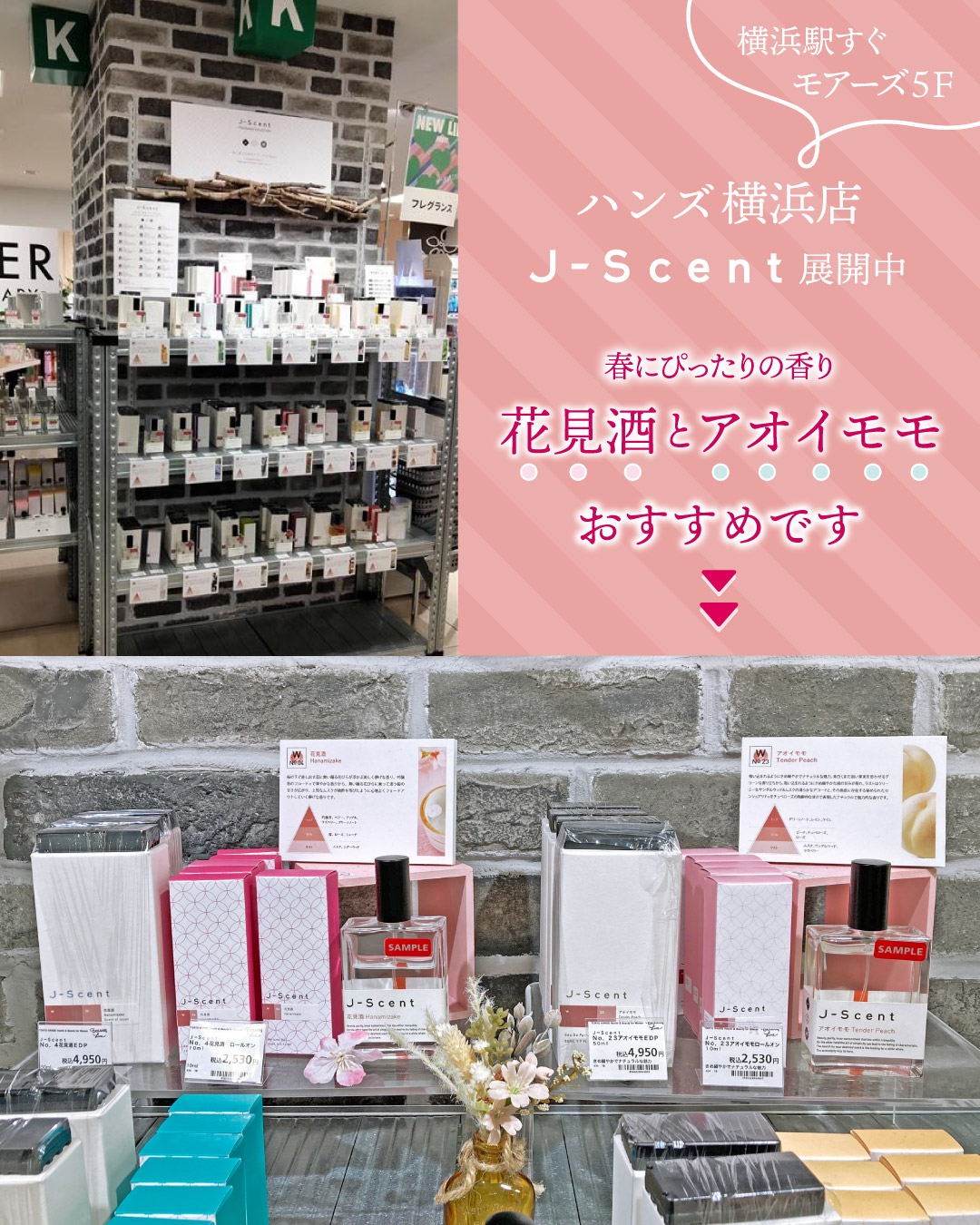 花見酒とアオイモモを最上段に展開中