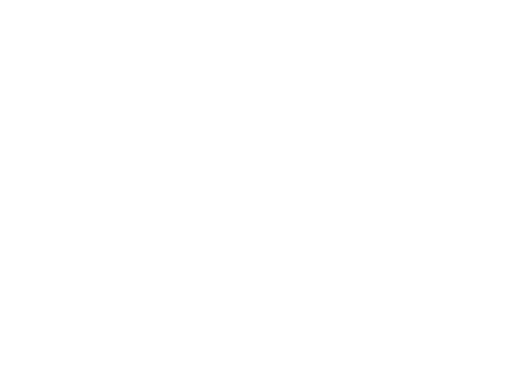 fatalite