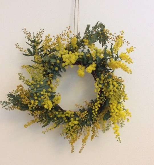 mimoza